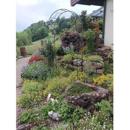 Ferienwohnung Wiesenblick 오베르하머스바크 외부 사진