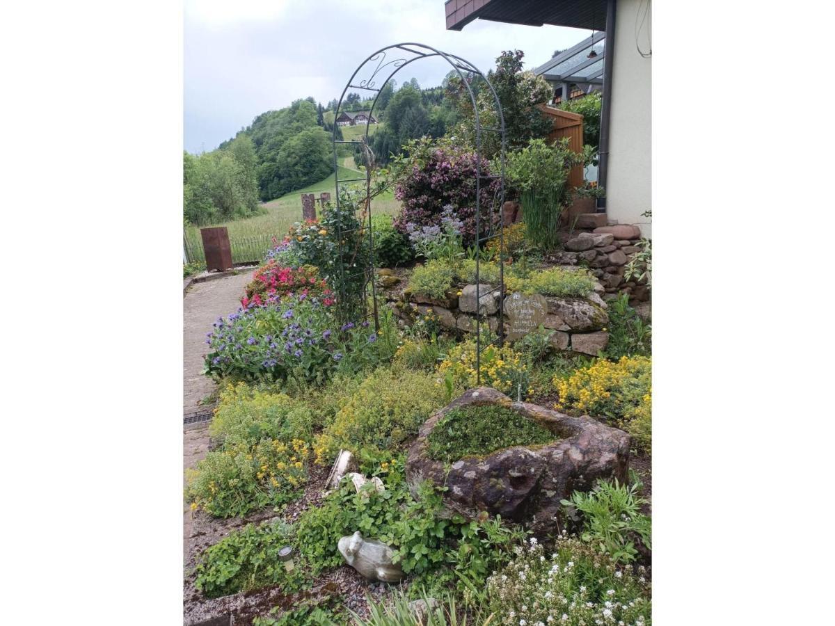 Ferienwohnung Wiesenblick 오베르하머스바크 외부 사진